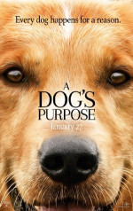 Poster filma A Dog's Purpose (2017)