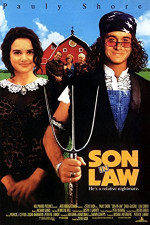 Poster filma Son in Law (1993)